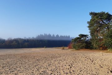 Nevel in de Soesterduinen